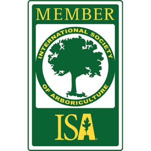 A member of the international society of arboriculture