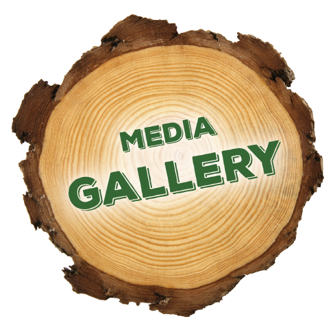 A picture of the media gallery logo.