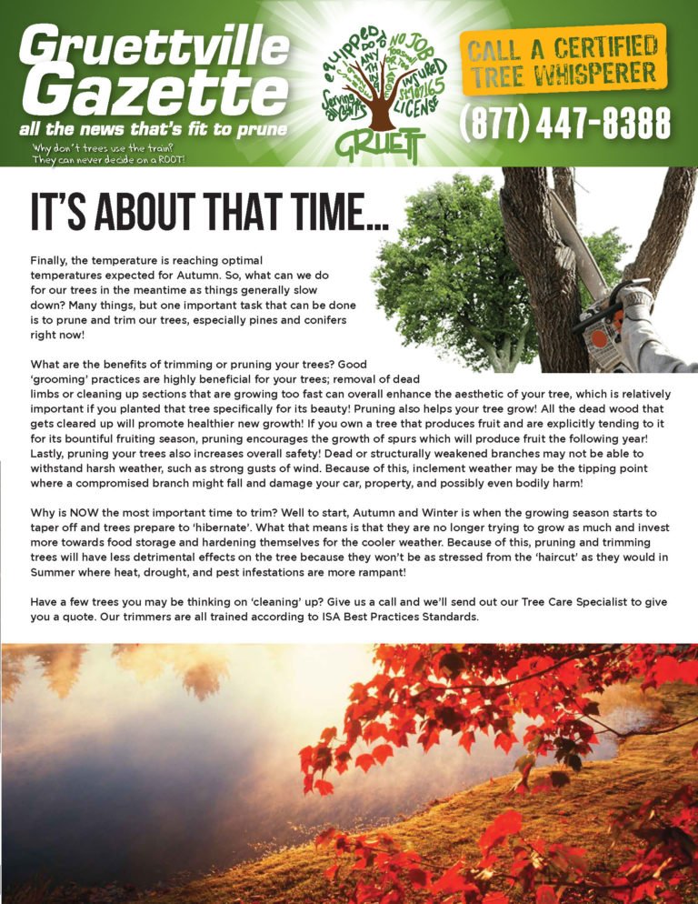 A picture of the cover page of a newsletter.