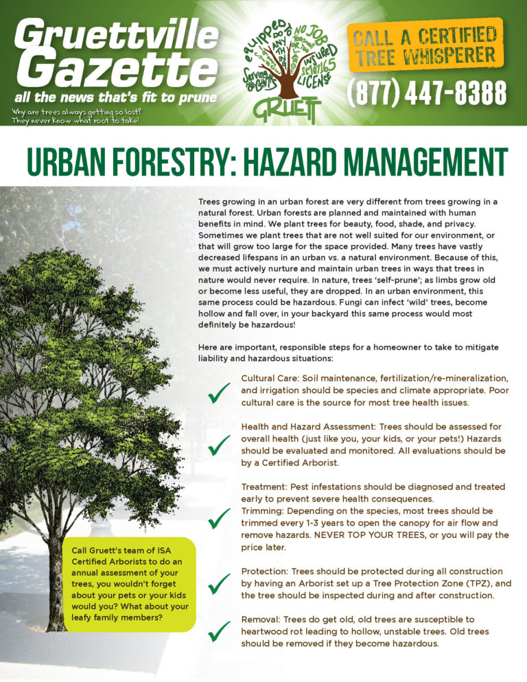 A flyer with trees and directions for urban forestry.