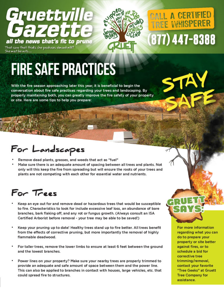 A flyer with instructions for fire safe practices.