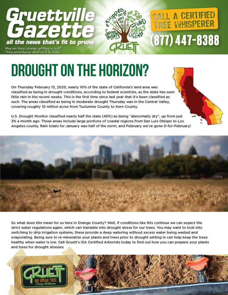 A newsletter with an image of the state of california.