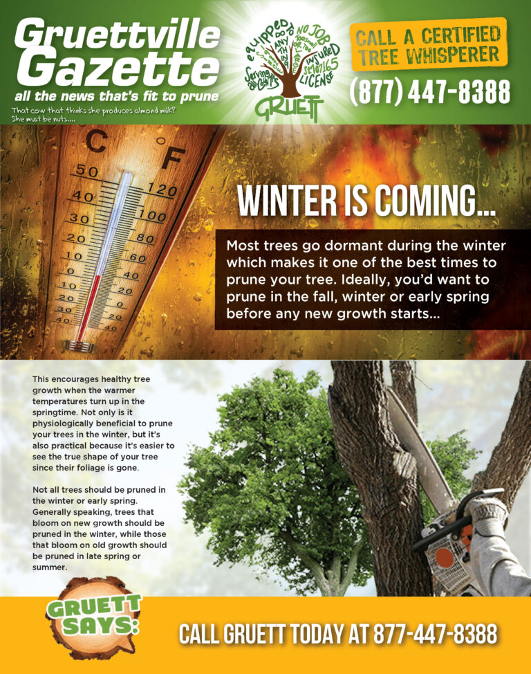 A flyer for the winter is coming campaign.